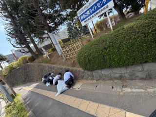 �S���X���̈ꖇ�摜